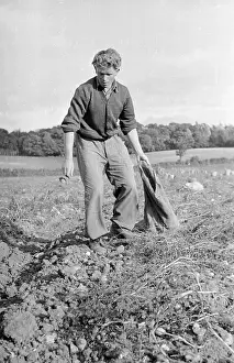 Emigration And Immigration Prints: Farm Worker