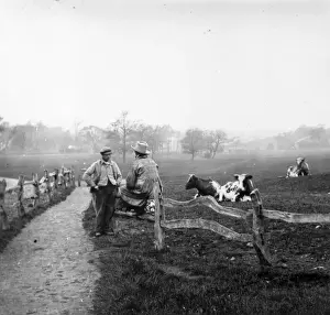 Farm Workers