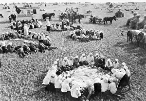 Lunch Prints: Farm Workers Sit in Rings in Field