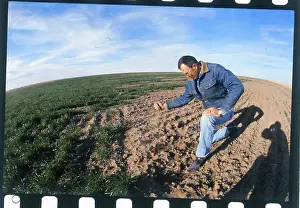 Kansas Prints: Farmer Checking Soil