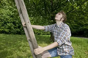 Farmer climbing a ladder leaning on a fruit tree