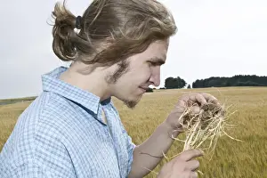 Farmer examining cereal