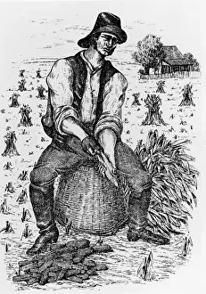 Waistcoat Prints: Farmer Husks Corn On Cornfield