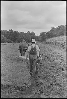 Farmer Plowing Field