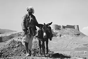 Kabul Prints: Farmer Posing with His Donkey