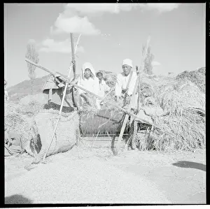 Farmer Separating Rice Kernels