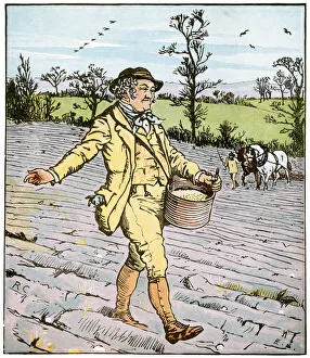 Images Dated 16th April 2013: The Farmer who sowed