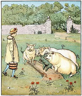 Images Dated 16th April 2013: The Farmers Boy - I used to keep my masters pigs