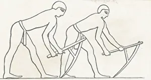 Farmers Plowing Soil
