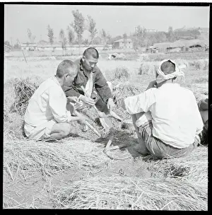 Farmers Sharpening Their Sickles