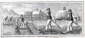 Farmers Work With Sickles, Hoes; Woodcut