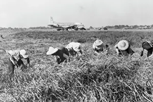 Farmers Working in Their Field