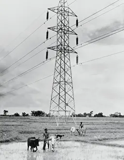Power Lines Prints: Farmers Working in Field in India