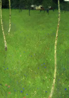 Secession Prints: Farmhouse with Young Birch Trees