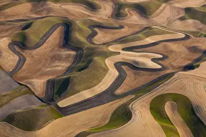 Plough Prints: Farmland landscape, with ploughed fields and furrows in Palouse