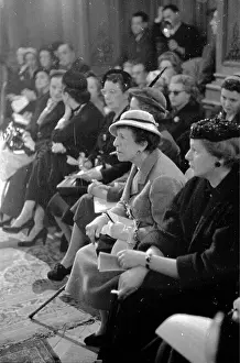 Fashion Audience