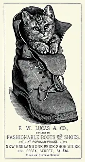 Salem Prints: Fashionable Puss in Boot