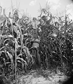 Columbia Prints: Father and Daughter Posing in Crop Field