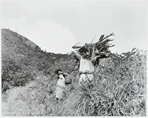 Fatherhood Prints: Father and Son Carrying Wood