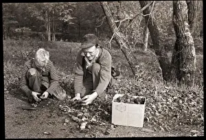 Picking Prints: Father and Son Picking up Butternuts