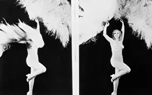 Feathers Held aloft by Stripper