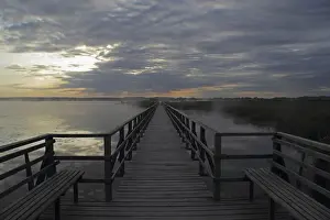 Upper Swabia Prints: Federsee Lake, in the early morning