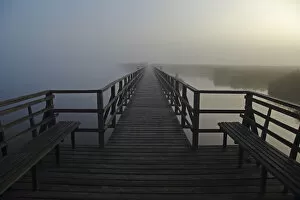 Federsee lake, Federsee lake pier, fog, morning mood, Upper Swabia, Baden-Wuerttemberg, Germany, Europe