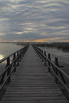 Morning Sky Gallery: Federsee Lake, jetty, nature, nature reserve, Upper Swabia, Baden-Wuerttemberg, Germany, Europe