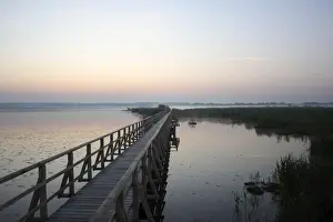 Sunsets Prints: Federsee lake, morning mood, Federsee lake area
