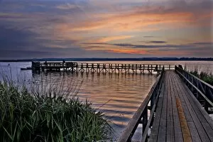Images Dated 31st May 2009: Federsee Pier at dawn, Bad Buchau, Baden-Wuerttemberg, Germany, Europe