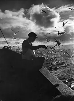 Fishing Boat Prints: Feed The Birds