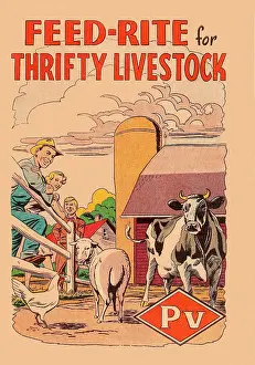 Bovine Prints: Feed-Rite for Thrifty Livestock