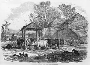 Farmyard Prints: Feeding Cows