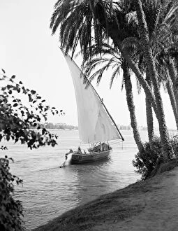 Images Dated 17th April 2016: Felucca on the Nile