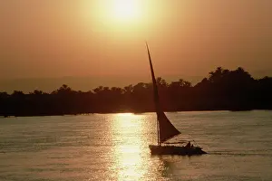 Palms Prints: Felucca Sailing at Sunset