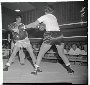Female Boxers