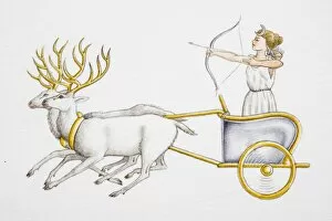 Images Dated 23rd November 2006: Female fairy tale character with bow and arrow, standing in chariot pulled by reindeer