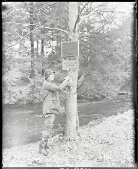 Connecticut Prints: Female Game Warden Posting Sign