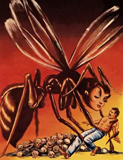 Facial Prints: Female Hornet and Man