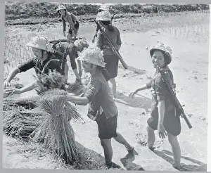Female Soldiers Planting Rice