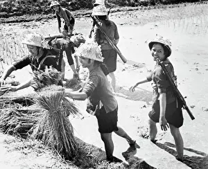 Rice Paddy Prints: Female Vietnamese Soldiers Planting Rice