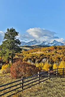 Images Dated 5th October 2017: Fence and Aspen trees in autumn colors, Ridgway, Colorado, USA