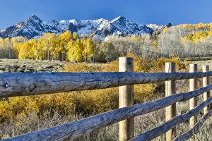 Images Dated 6th October 2017: Fence and Aspen trees in autumn colors with snow-capped mountains in background, Ridgway
