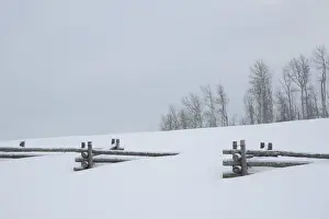 Fence buried in deep snow, Uncompahgre National Forest, Colorado, USA