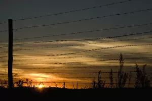 Images Dated 8th December 2008: Fence, Landscape, Peacefulness, Protection, Razor Wire, Romantic Sky, Safety, Scenics