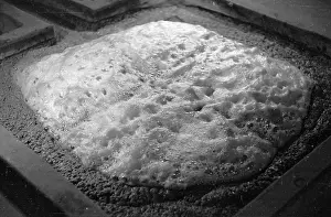 Brewing And Winemaking Prints: Fermentation