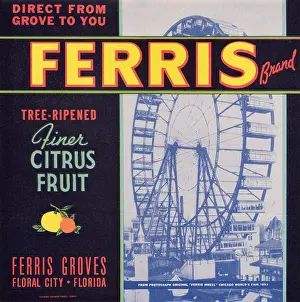 Florida Prints: Ferris Brand