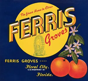 Florida Prints: Ferris Groves