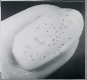 White Plains Prints: Ferrite Cores on Fingernail