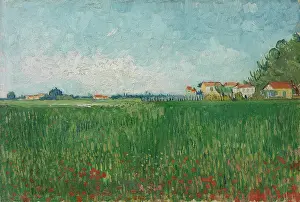 Summer Landscape Prints: Field With Poppies